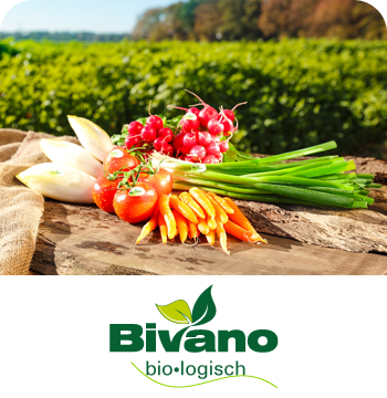 Bivano GmbH